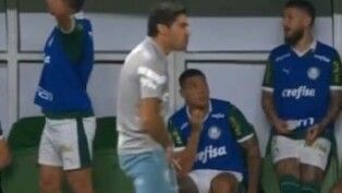 Em 2024, Abel Ferreira foi punido por dois jogos após segurar sua genital em direção ao árbitro Anderson Daronco