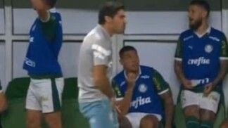 Em 2024, Abel Ferreira foi punido por dois jogos após segurar sua genital em direção ao árbitro Anderson Daronco
