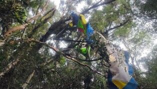 Destroços de um ultraleve pendurados na copa de árvores
