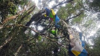 Destroços de um ultraleve pendurados na copa de árvores