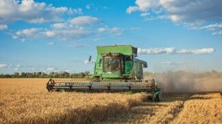 Máquina agrícola verde passando por uma plantação.