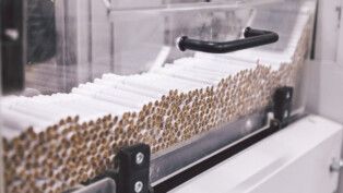 Cigarros empilhados numa esteira em fábrica