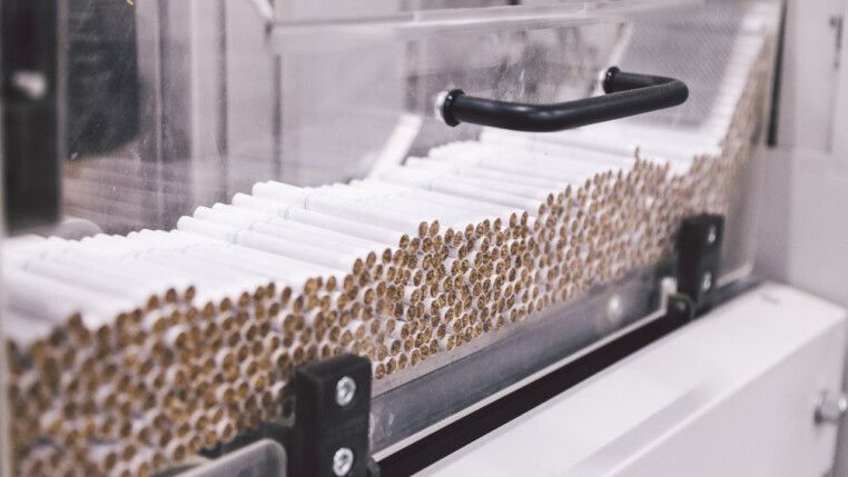 Cigarros empilhados numa esteira em fábrica