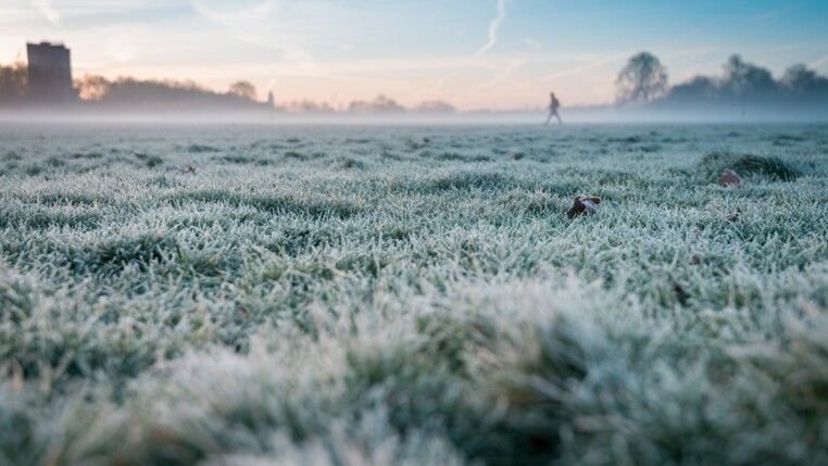 A beautiful scenery of a grassy field during sunset with a foggy background