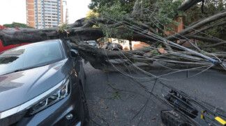 Árvore caída sobre fiação de poste e sobre um carro