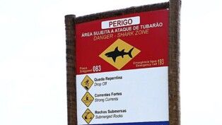 Foto: Reprodução/Secretaria Estadual de Meio Ambiente e Sustentabilidade de Pernambuco/Instagram