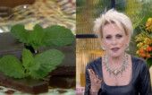 Ana Maria Braga mal após testar receita da internet