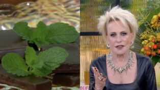 Ana Maria Braga mal após testar receita da internet