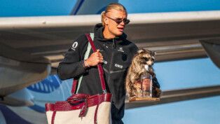 Erling Haaland desembarca na Noruega com guaxinim de pelúcia