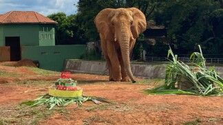 Zoológico de Brasília