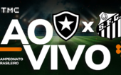 Botafogo x Santos