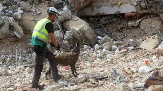 Um socorrista com um cão de busca e resgate trabalha no local de um edifício que desabou após os terremotos de 24/06, em La Guaira, Venezuela, em 04/07/2026.
