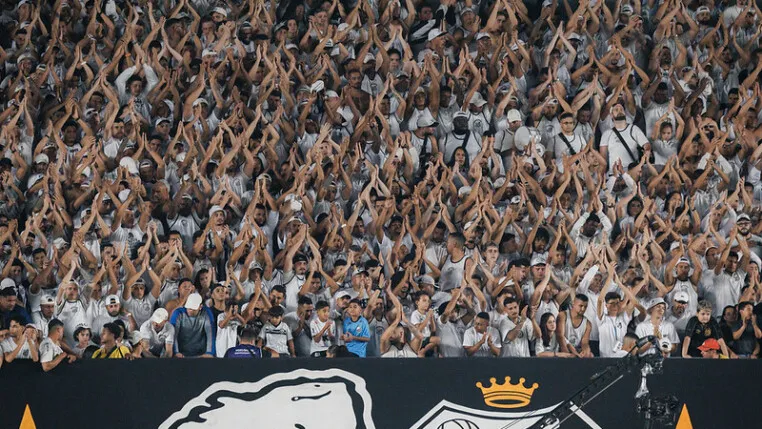 Torcida do Santos em jogo na Vila Belmiro - Foto: Raul Baretta/ Santos FC